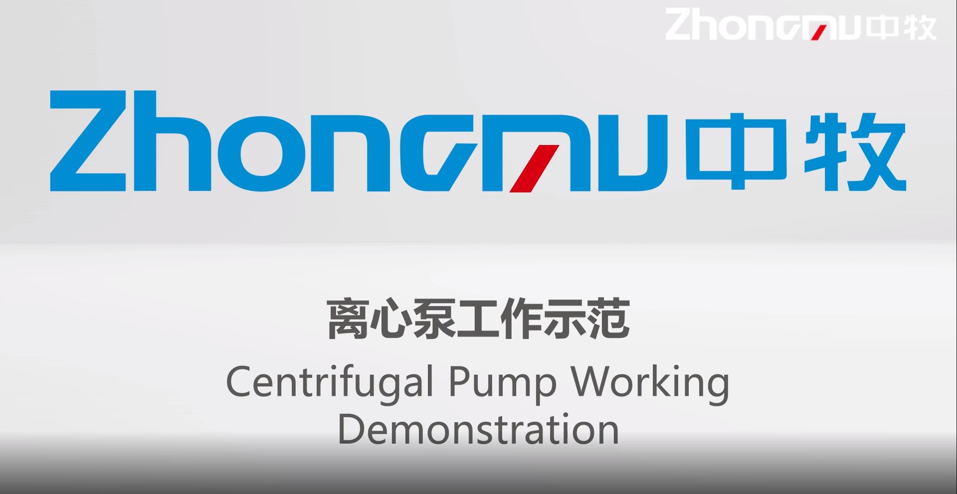 離心泵工作示范